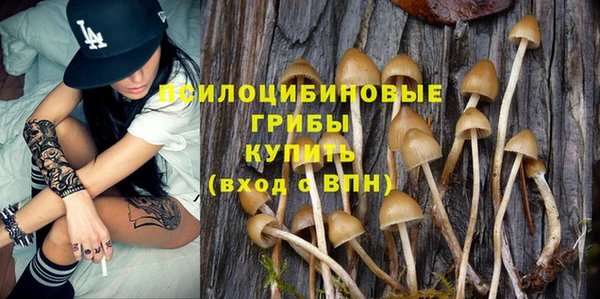 ECSTASY Белоозёрский